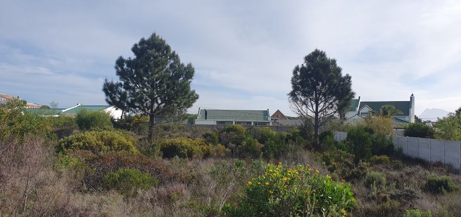 0 Bedroom Property for Sale in Fisherhaven Western Cape